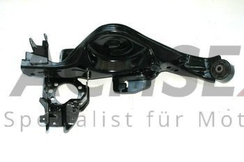 Nissan X-Trail QASHQAI Hinten Radaufhängung Tragarm Achse Links NEU